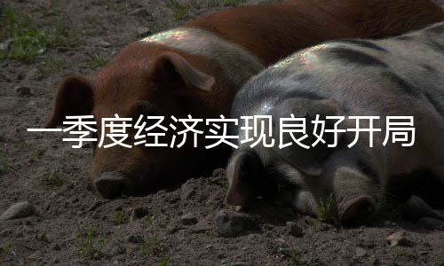 一季度經(jīng)濟(jì)實(shí)現(xiàn)良好開局 多領(lǐng)域銷售收入穩(wěn)步提升