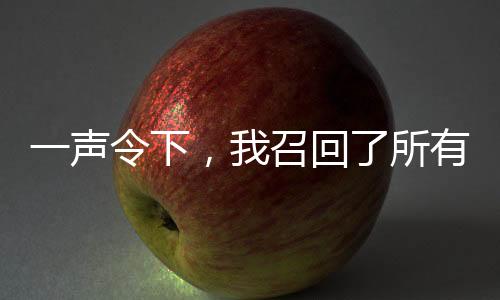 一聲令下，我召回了所有穿越者