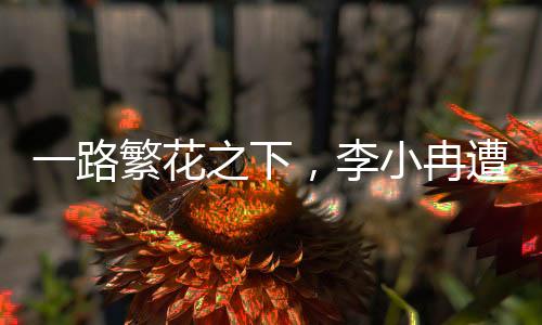 一路繁花之下，李小冉遭遇網(wǎng)友審判風(fēng)波