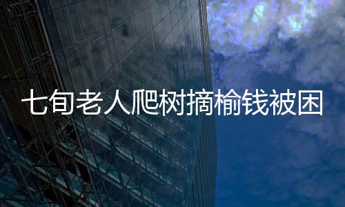七旬老人爬樹(shù)摘榆錢被困事件