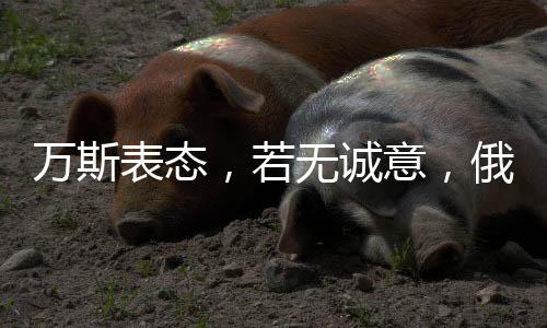 萬斯表態(tài)，若無誠意，俄方或?qū)⒚媾R制裁