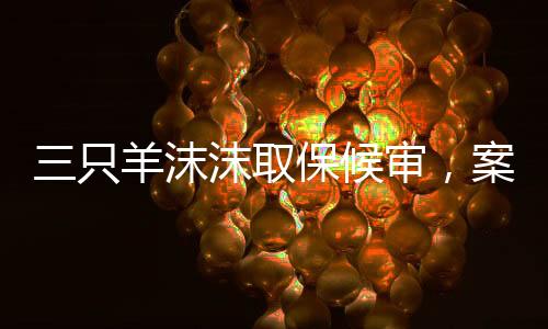 三只羊沫沫取保候?qū)?，案件?xì)節(jié)與法律程序解析