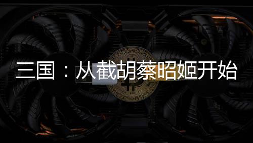 三國(guó)：從截胡蔡昭姬開始崛起