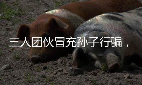 三人團(tuán)伙冒充孫子行騙，四天內(nèi)詐騙五十萬元案震驚社會