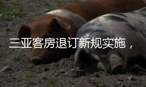 三亞客房退訂新規(guī)實(shí)施，規(guī)范旅游市場(chǎng)迎接新一輪旅游高峰