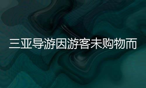 三亞導(dǎo)游因游客未購(gòu)物而破口大罵？舊聞回顧