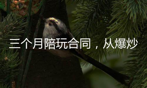 三個(gè)月陪玩合同，從爆炒楊密開始
