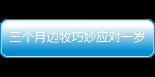 三個(gè)月邊牧巧妙應(yīng)對(duì)一歲德牧行為，引發(fā)關(guān)注——一場關(guān)于寵物互動(dòng)的探討