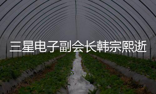 三星電子副會(huì)長(zhǎng)韓宗熙逝世，緬懷一位杰出的商業(yè)領(lǐng)袖