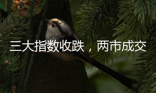 三大指數(shù)收跌，兩市成交額縮量逾三千億，市場走勢分析與前景展望