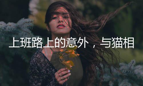 上班路上的意外，與貓相撞導(dǎo)致骨折