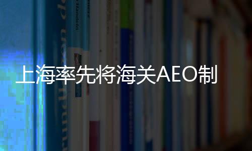 上海率先將海關AEO制度經驗引入工業(yè)領域
