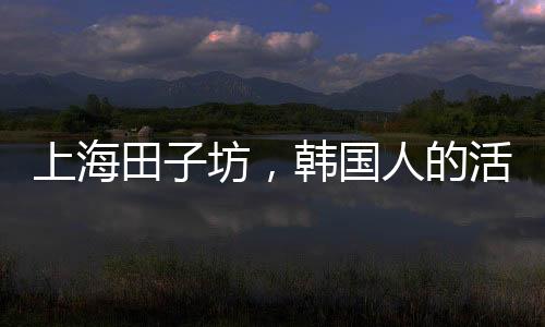 上海田子坊，韓國人的活化之路？