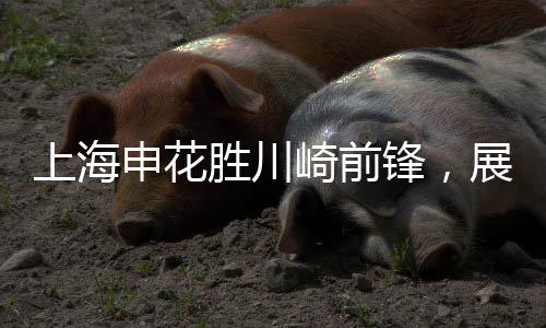 上海申花勝川崎前鋒，展現(xiàn)中國足球力量——一場震撼的賽事紀(jì)實(shí)
