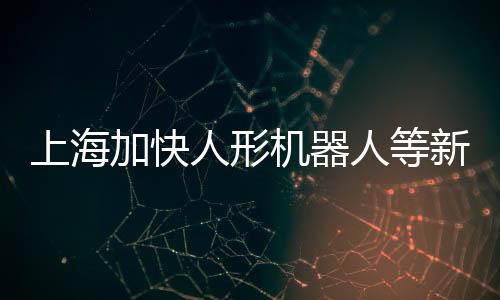 上海加快人形機(jī)器人等新興領(lǐng)域的標(biāo)準(zhǔn)研究