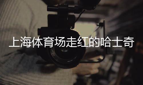 上海體育場(chǎng)走紅的哈士奇探秘，神秘寵物背后的故事