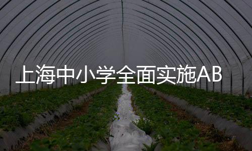 上海中小學(xué)全面實(shí)施AB制午餐模式，打造健康校園餐飲新篇章