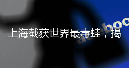 上海截獲世界最毒蛙，揭秘這一重大發(fā)現(xiàn)背后的故事