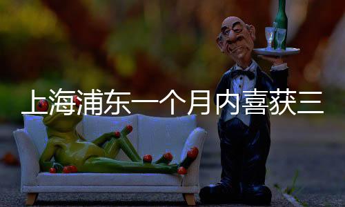 上海浦東一個月內(nèi)喜獲三個彩票大獎，彩票行業(yè)備受關(guān)注熱議不斷！揭秘中獎背后的小幸運和大夢想！
