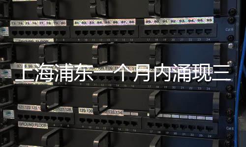 上海浦東一個(gè)月內(nèi)涌現(xiàn)三大樂(lè)透大獎(jiǎng)，幸運(yùn)兒收獲巨額驚喜