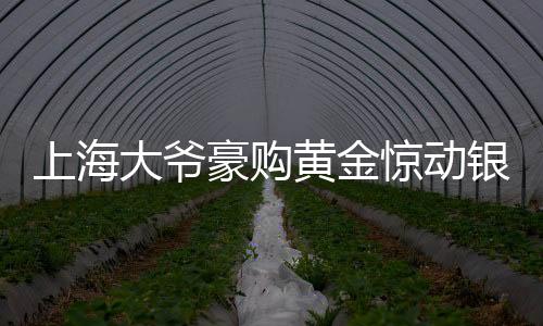 上海大爺豪購(gòu)黃金驚動(dòng)銀行，背后故事揭秘