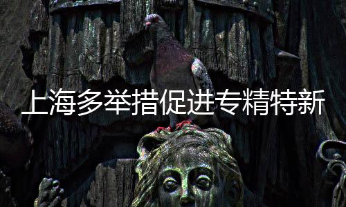 上海多舉措促進(jìn)專精特新中小企業(yè)發(fā)展壯大  大模型等加速其成長