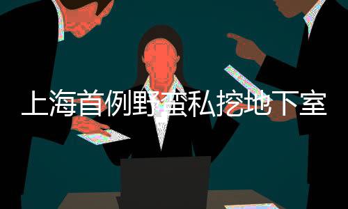 上海首例野蠻私挖地下室入刑案件詳述