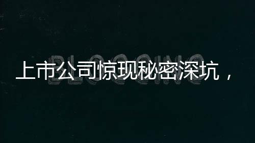 上市公司驚現(xiàn)秘密深坑，揭秘會(huì)計(jì)資料被埋背后的故事