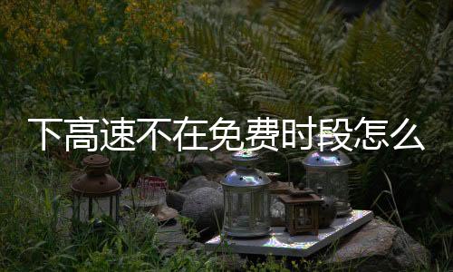 下高速不在免費時段怎么辦？交警支招