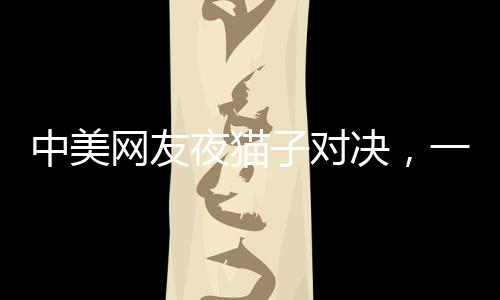 中美網(wǎng)友夜貓子對(duì)決，一夜的經(jīng)濟(jì)對(duì)賬與交流