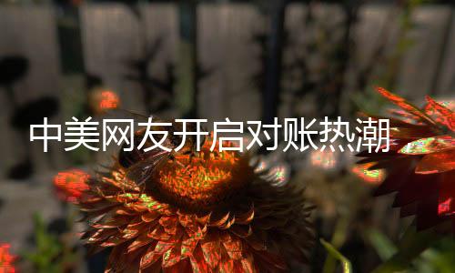 中美網(wǎng)友開啟對賬熱潮，一場跨洋的云端交流風暴