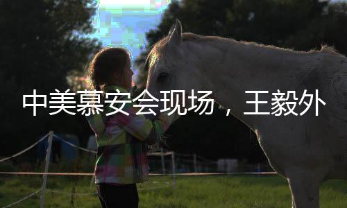 中美慕安會現(xiàn)場，王毅外交魅力閃耀，萬斯遭遇冷場