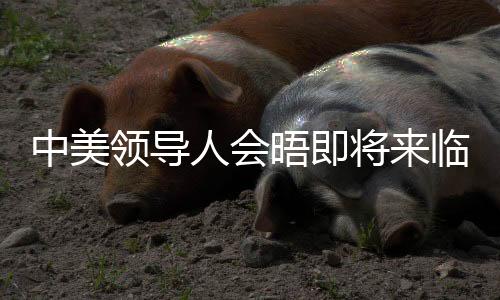 中美領(lǐng)導(dǎo)人會(huì)晤即將來(lái)臨，中方回應(yīng)與期待