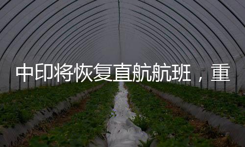 中印將恢復(fù)直航航班，重塑空中交通連接，推動雙邊關(guān)系向前發(fā)展