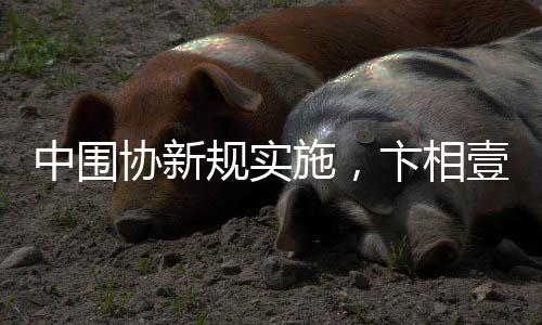 中圍協(xié)新規(guī)實施，卞相壹或?qū)p失巨額獎金，損失金額達1.85億韓元