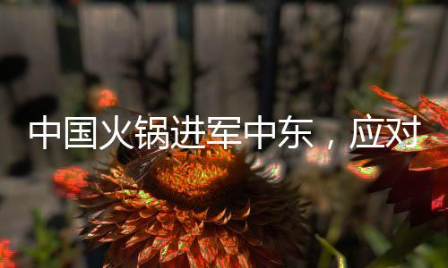 中國火鍋進軍中東，應對當?shù)乇Ｗo主義挑戰(zhàn)