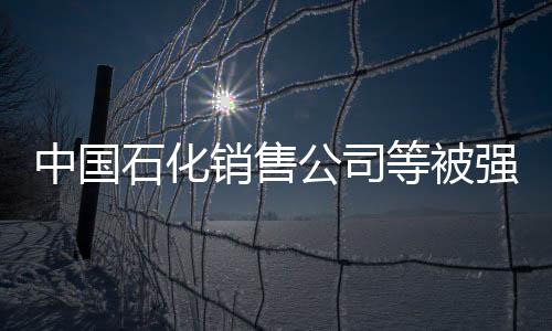 中國石化銷售公司等被強制執(zhí)行1.1億，深度解析事件背景與影響
