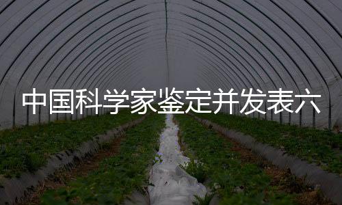 中國科學(xué)家鑒定并發(fā)表六個(gè)南極細(xì)菌新屬，揭示地球最冷地區(qū)的生命奧秘