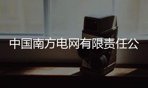 中國南方電網(wǎng)有限責(zé)任公司原黨組成員、紀(jì)檢監(jiān)察組組長龍飛受賄案一審開庭