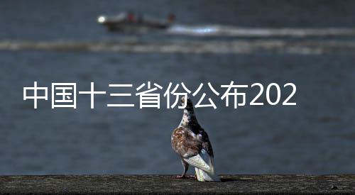 中國十三省份公布2024年人口數(shù)量預(yù)測，趨勢分析與挑戰(zhàn)應(yīng)對