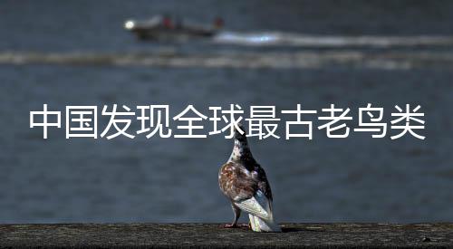 中國(guó)發(fā)現(xiàn)全球最古老鳥類“政和八閩鳥” 改寫鳥類演化史