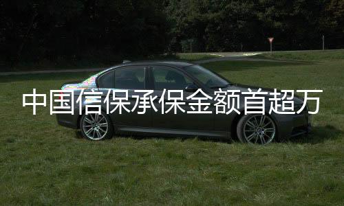 中國信保承保金額首超萬億美元