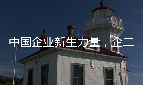 中國企業(yè)新生力量，企二代正式接力