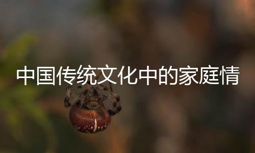 中國(guó)傳統(tǒng)文化中的家庭情懷，過年為什么要走親戚