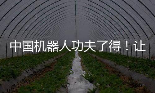 中國機(jī)器人功夫了得！讓美媒“驚掉下巴”