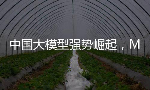中國大模型強(qiáng)勢崛起，Meta陷入恐慌模式