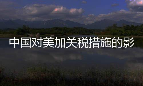 中國對美加關(guān)稅措施的影響及前景展望