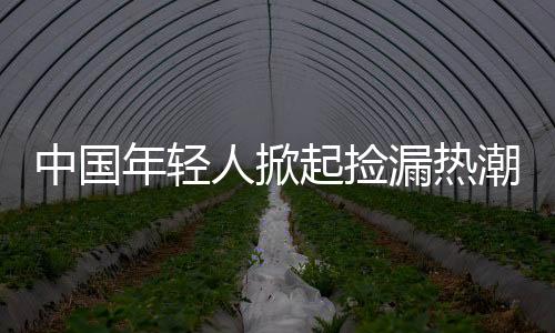 中國年輕人掀起撿漏熱潮，日本低價(jià)中古屋成新寵