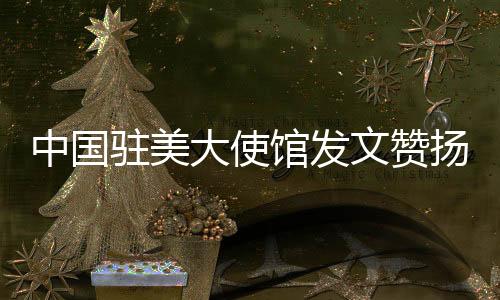 中國駐美大使館發(fā)文贊揚(yáng)甲亢哥中國行，文化交流展現(xiàn)友好新篇章