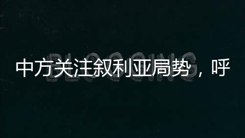 中方關(guān)注敘利亞局勢，呼吁各方保持克制，推動政治解決危機(jī)